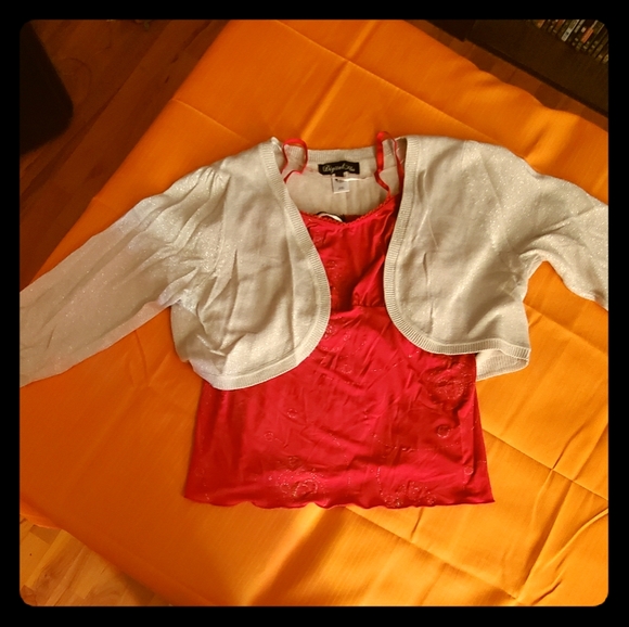 Cropped Silver Sweater - Picture 1 of 2